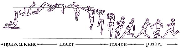 Реферат: Методика обучения технике прыжка в высоту с разбега способом Фосбери - флоп детей 13-15 лет.